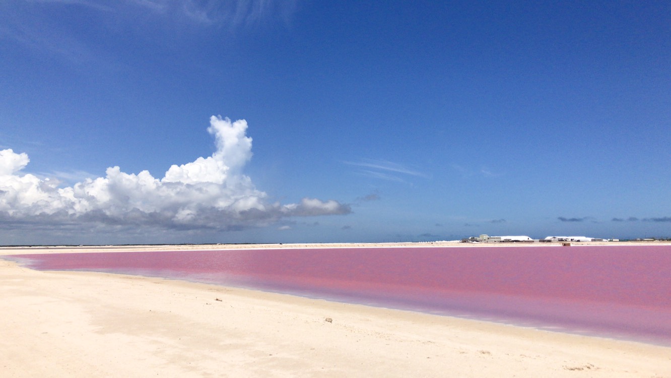 Image result for laguna rosa yucatan